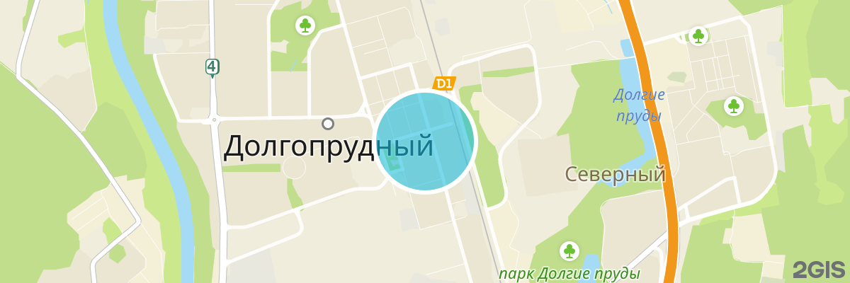 2gis map