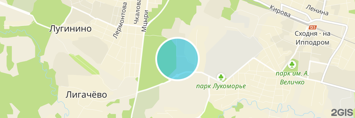2gis map