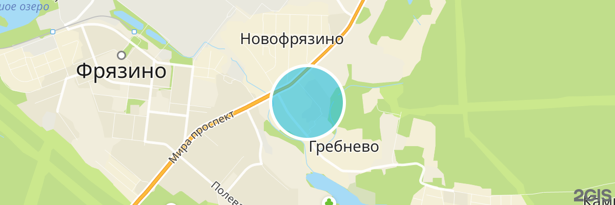 2gis map