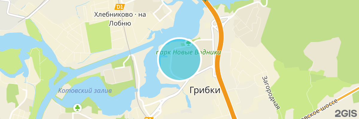 2gis map