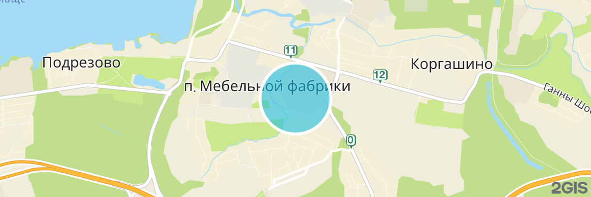 2gis map
