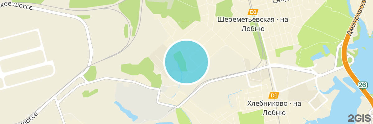 2gis map
