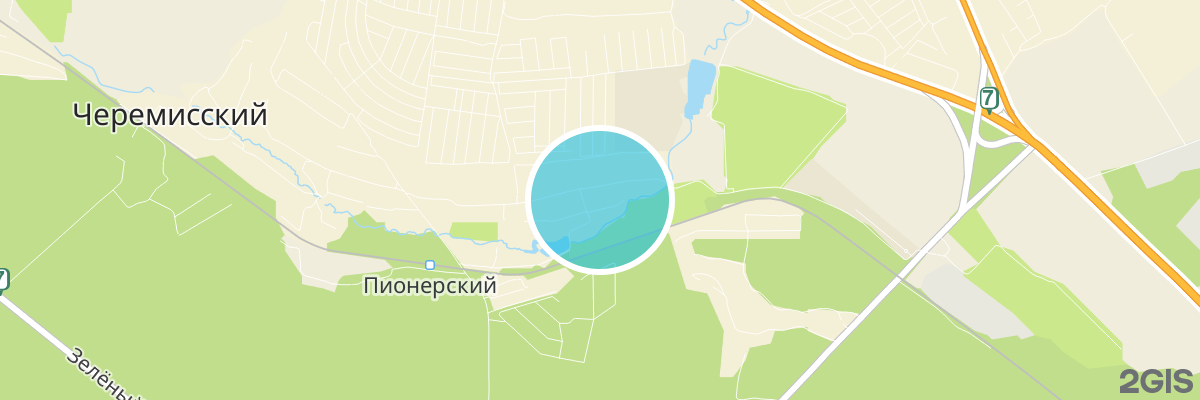 2gis map