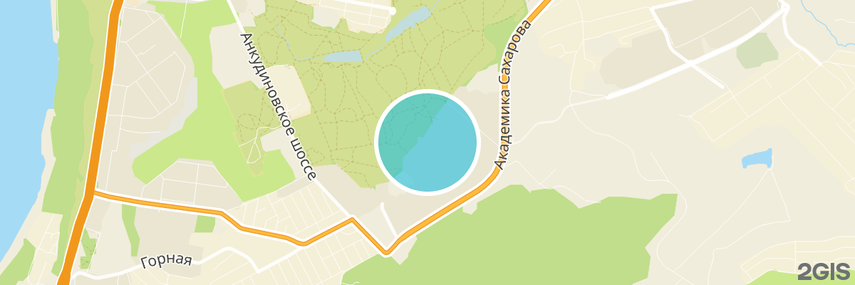 2gis map
