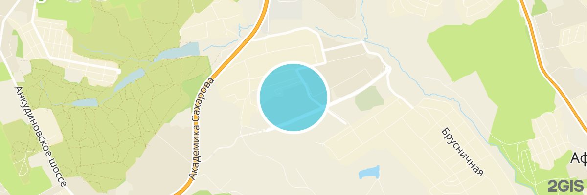 2gis map