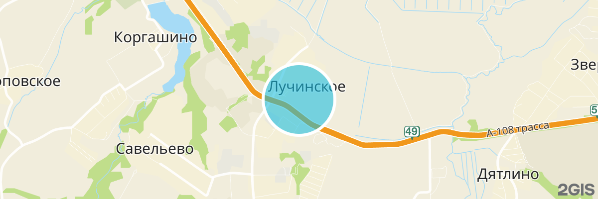 2gis map