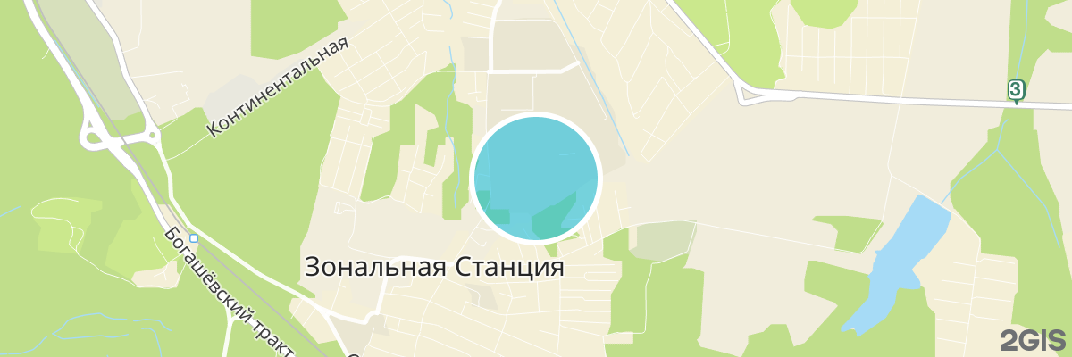 2gis map