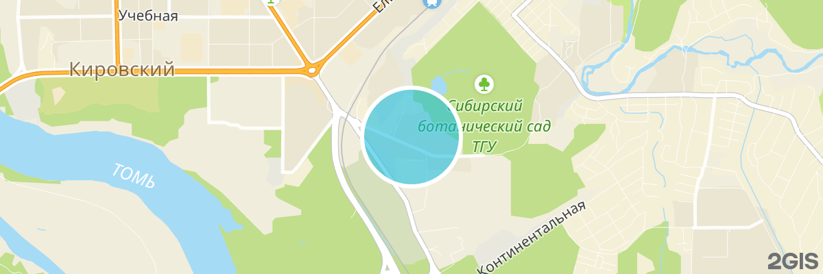 2gis map