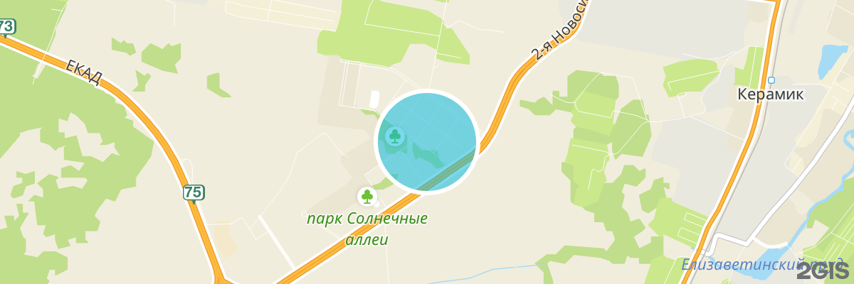 2gis map