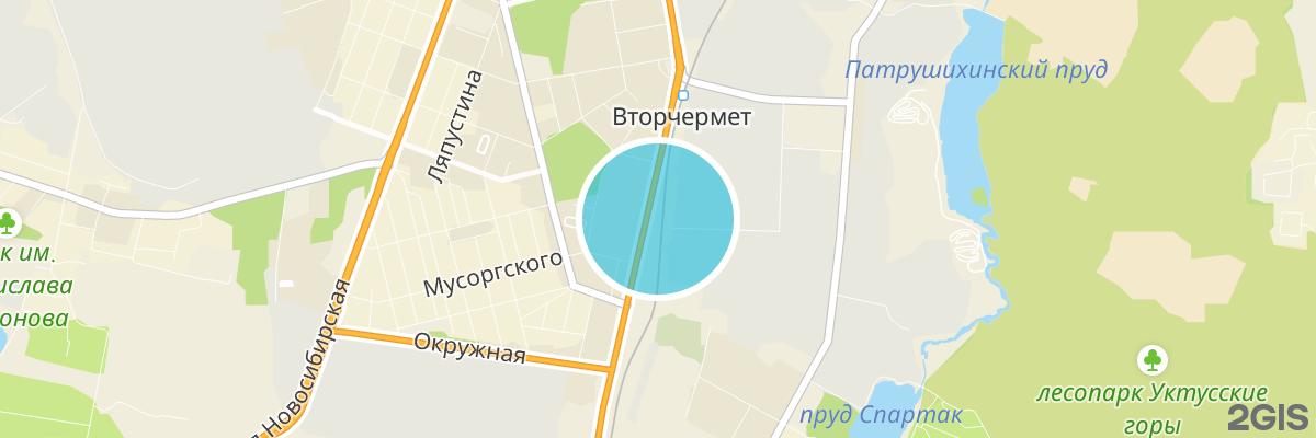 2gis map