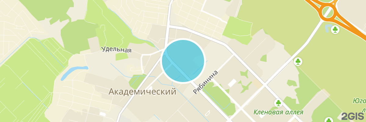 2gis map