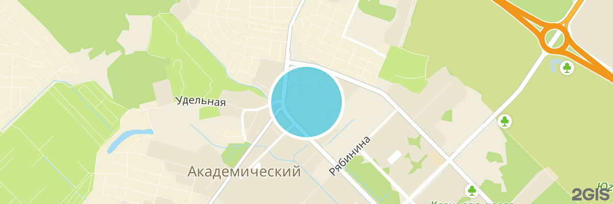 2gis map