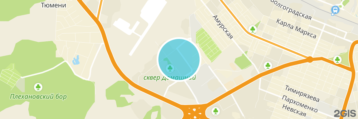 2gis map