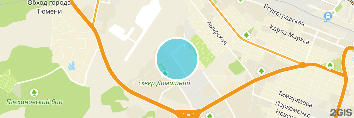 2gis map