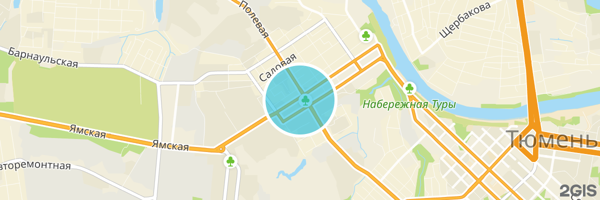 2gis map