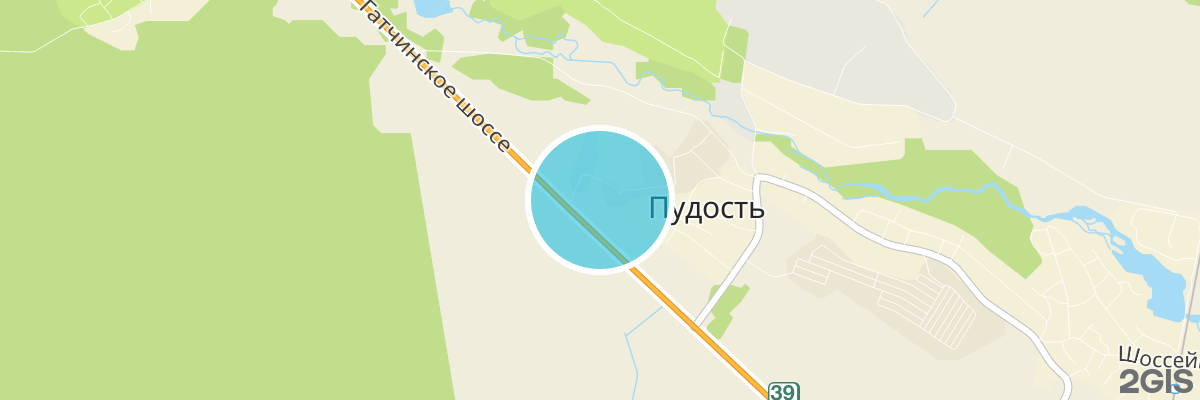 2gis map