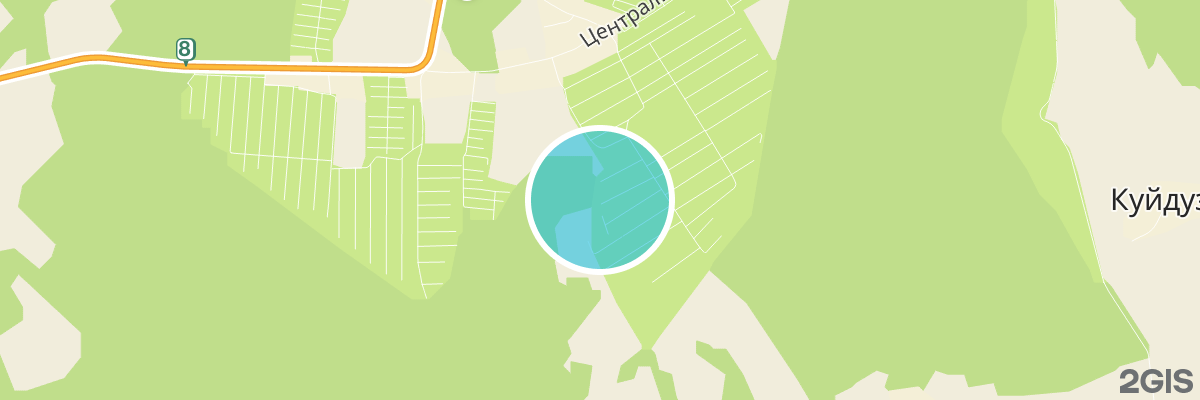 2gis map