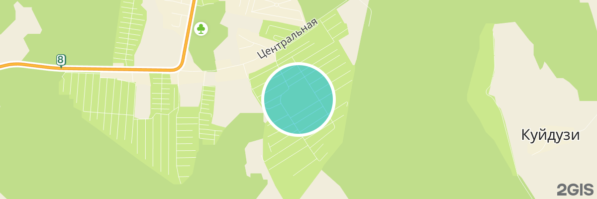 2gis map