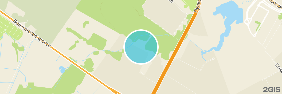 2gis map