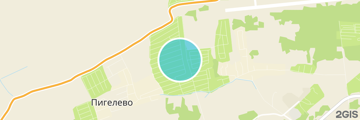 2gis map