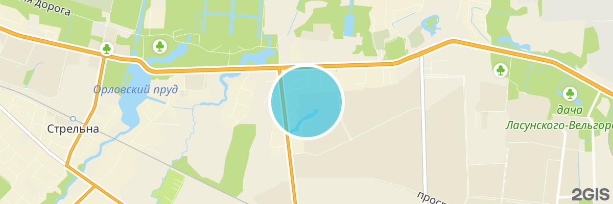 2gis map