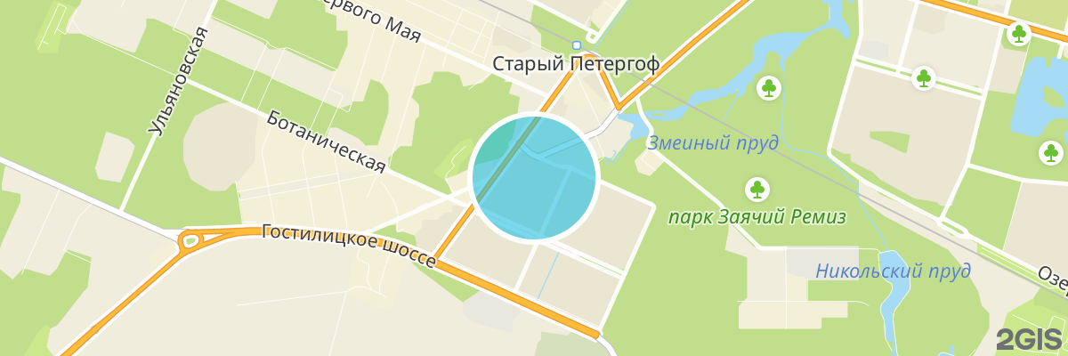2gis map
