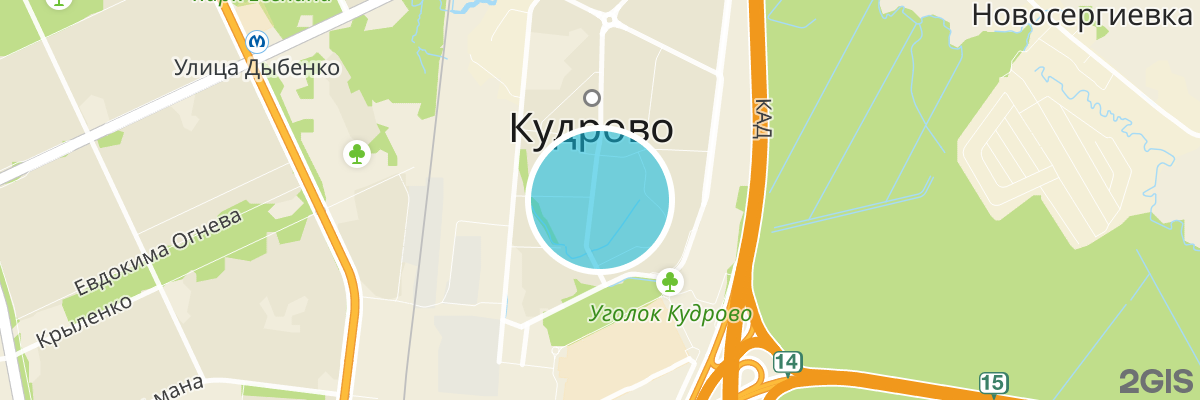 2gis map