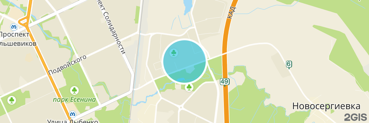 2gis map