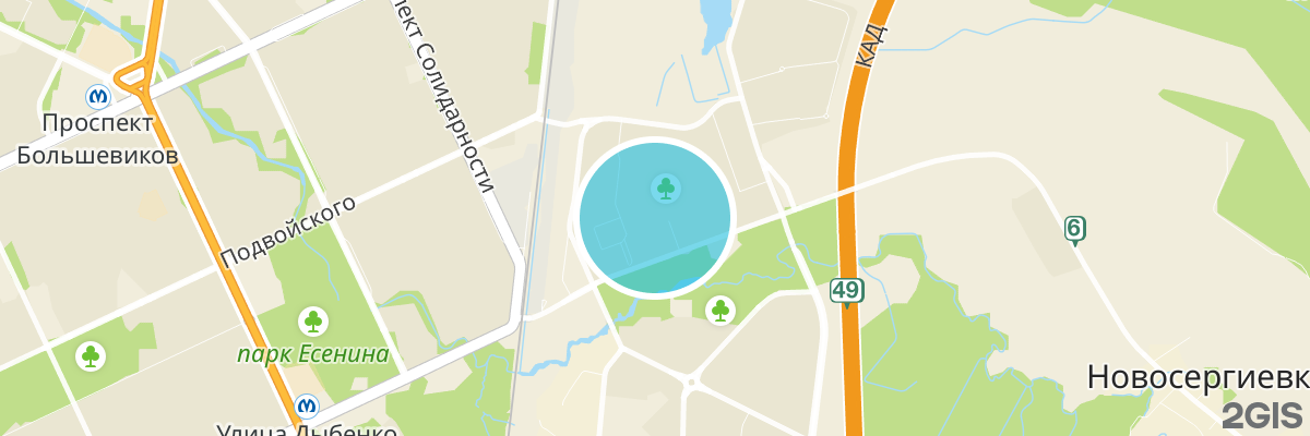 2gis map
