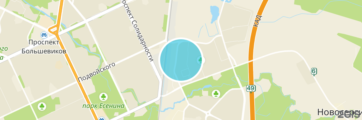 2gis map