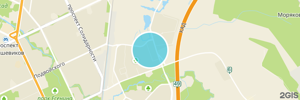 2gis map