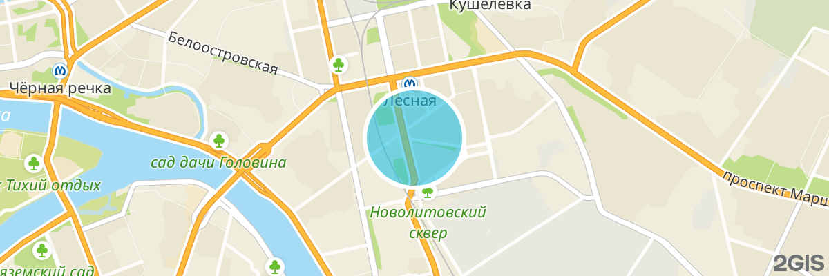 2gis map