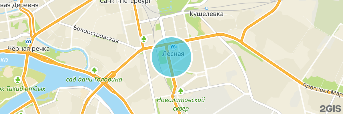 2gis map