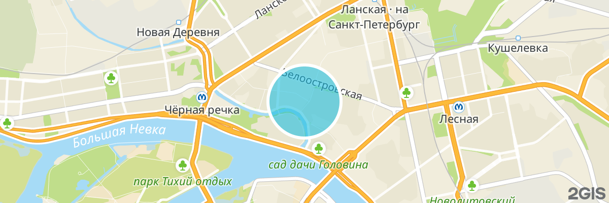 2gis map