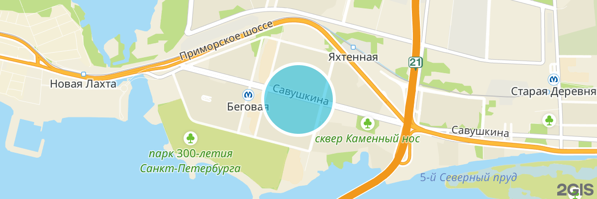2gis map