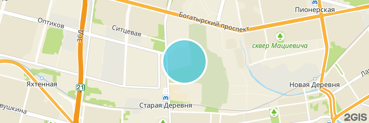 2gis map