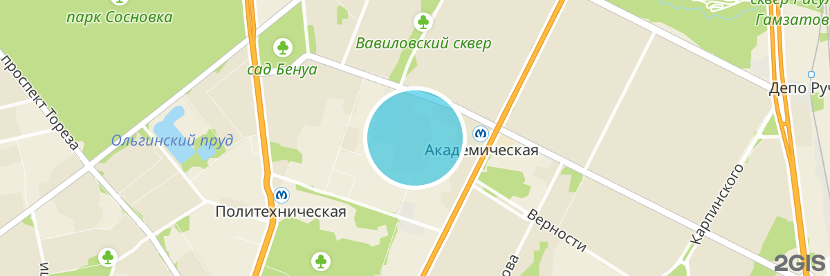 2gis map