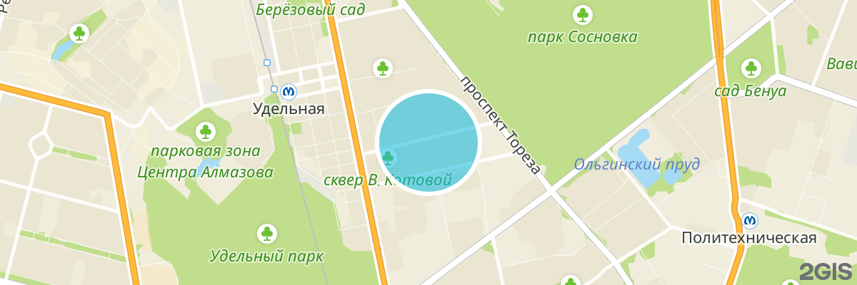 2gis map