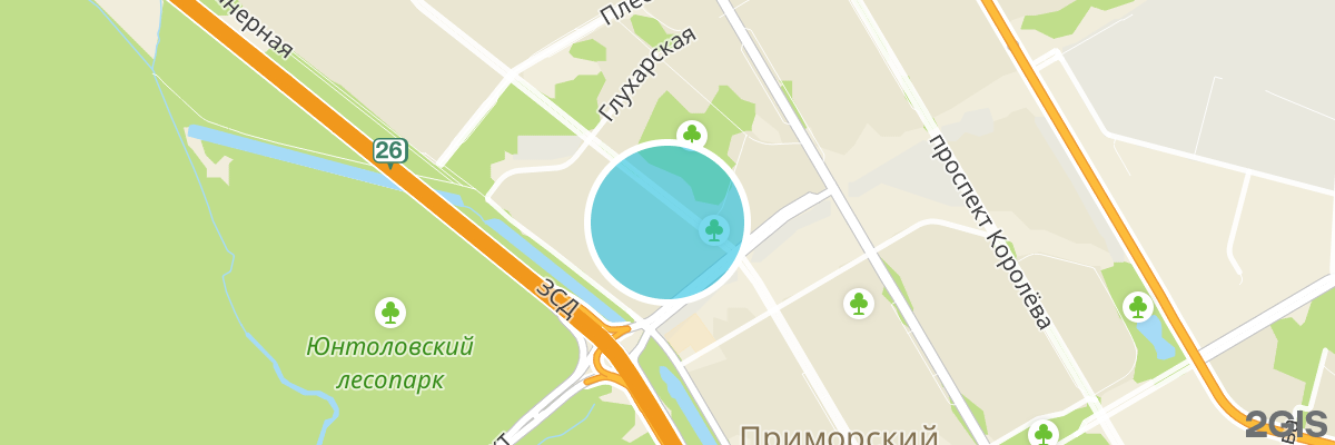 2gis map