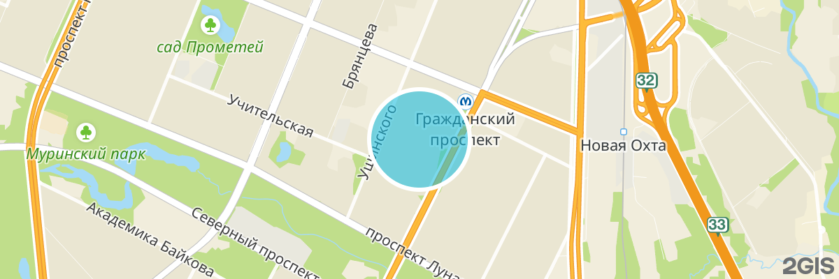 2gis map
