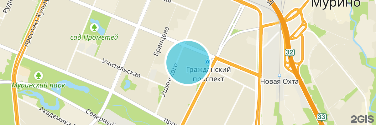 2gis map