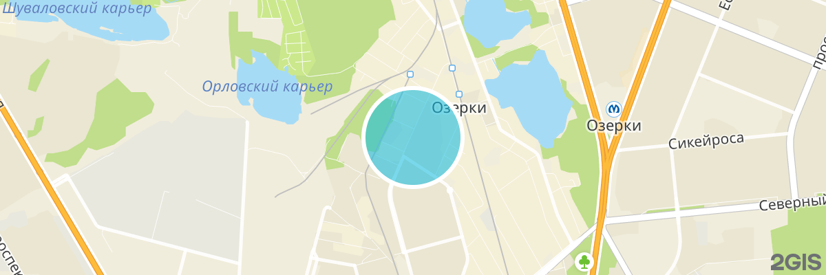 2gis map