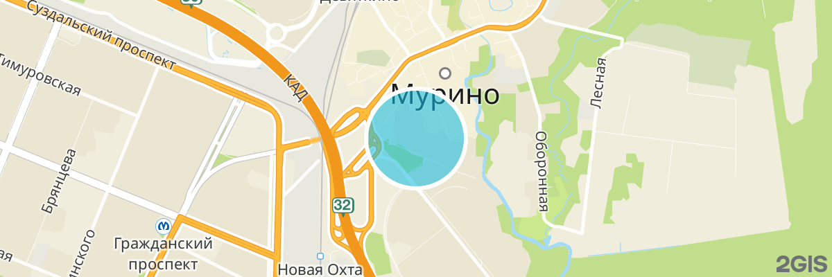 2gis map