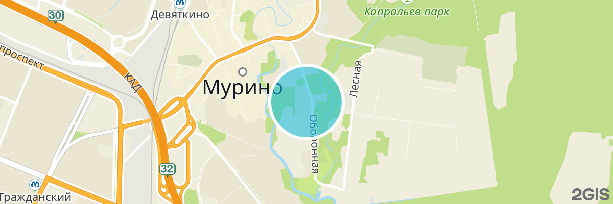 2gis map
