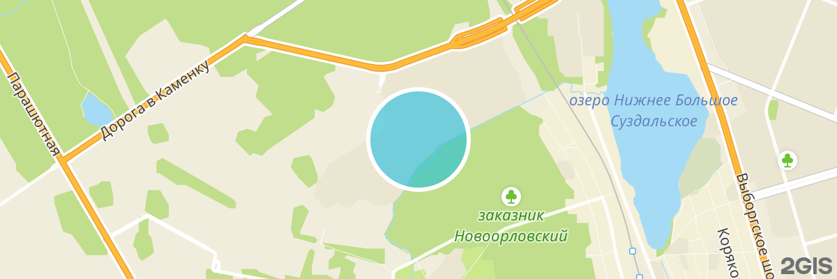 2gis map