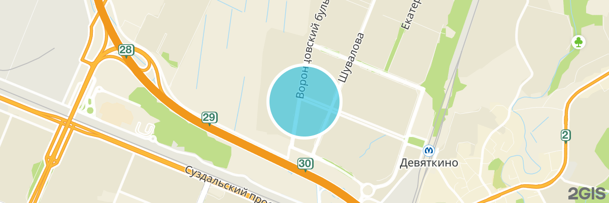 2gis map