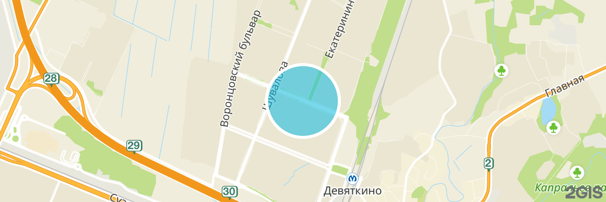 2gis map