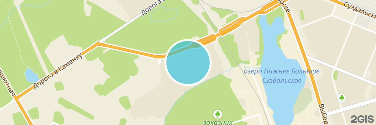 2gis map