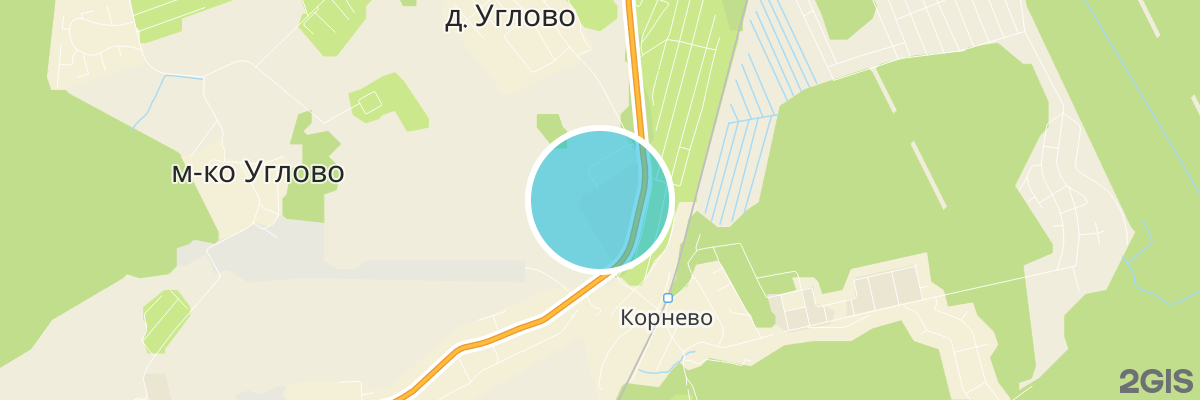 2gis map