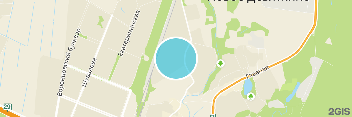 2gis map